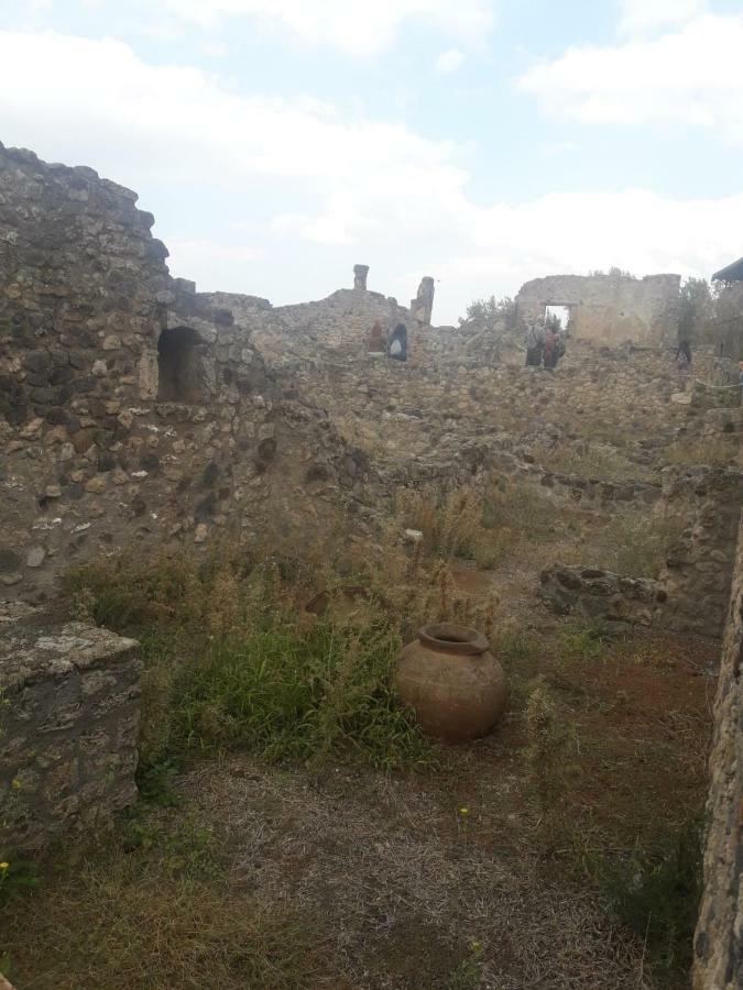 Rosy Monolocale Nel Centro Storico Di Torre Annunziata Di Fronte Scavi Oplonti Διαμέρισμα Εξωτερικό φωτογραφία